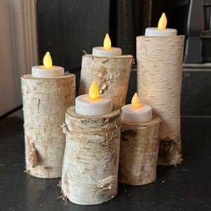 Set of 5 White Birch Candle Holders